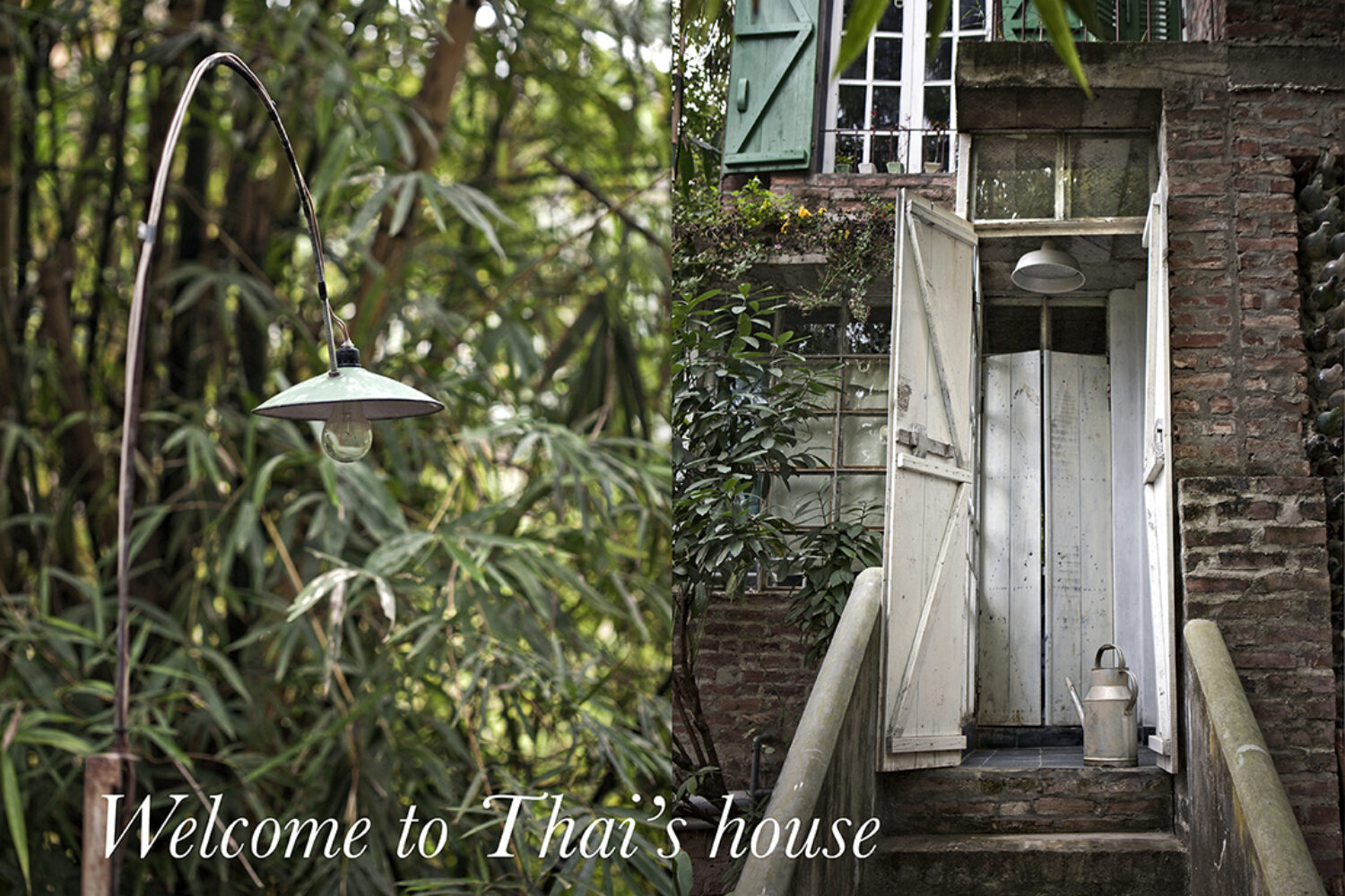 Stefania Giorgi Food Portraits Lifestyle and Interiors photographer le hong thai house
