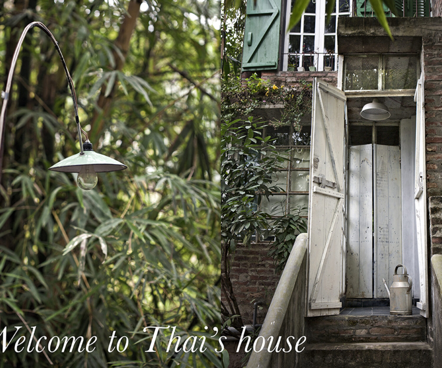 Stefania Giorgi Food Portraits Lifestyle and Interiors photographer le hong thai house